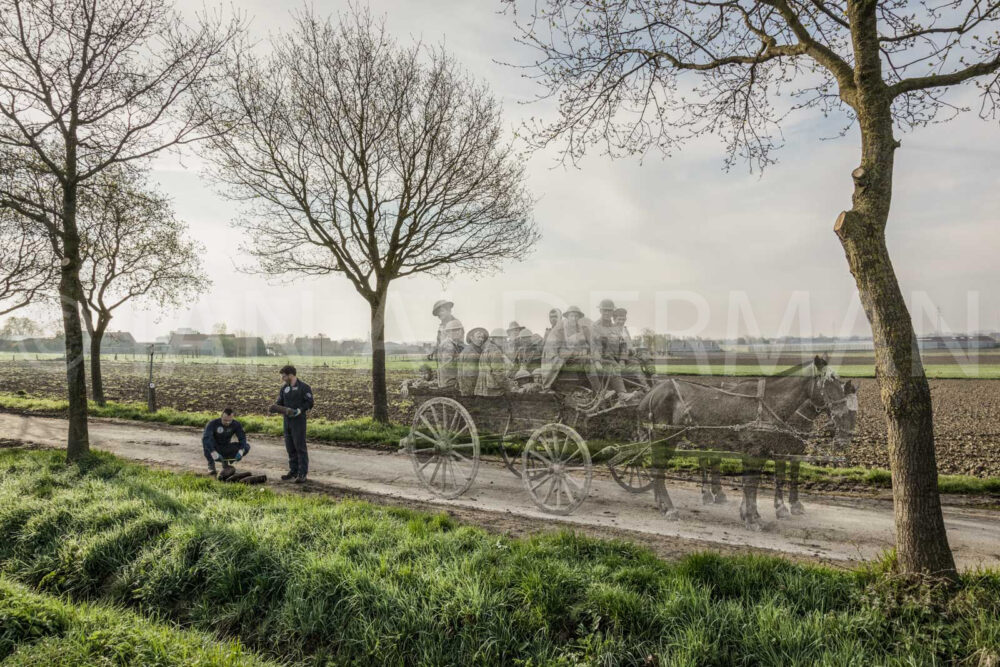 #Flanders 2924